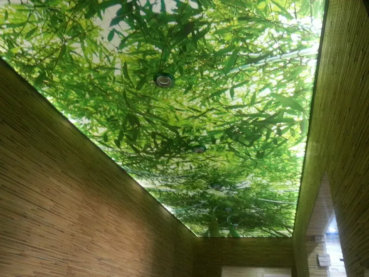 Светящиеся натяжные потолки Потолки Всем